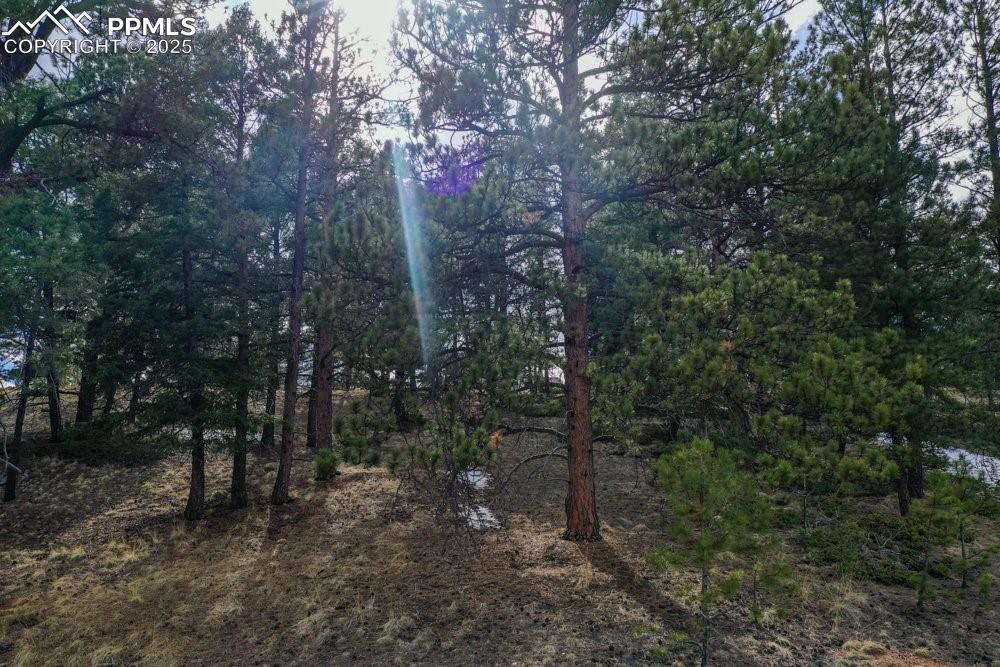 102 Blue Bell Circle Cripple Creek CO 80813