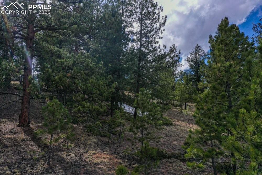 102 Blue Bell Circle Cripple Creek CO 80813