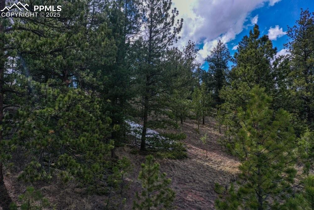 102 Blue Bell Circle Cripple Creek CO 80813