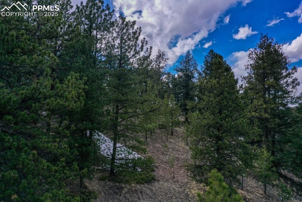 102 Blue Bell Circle Cripple Creek CO 80813
