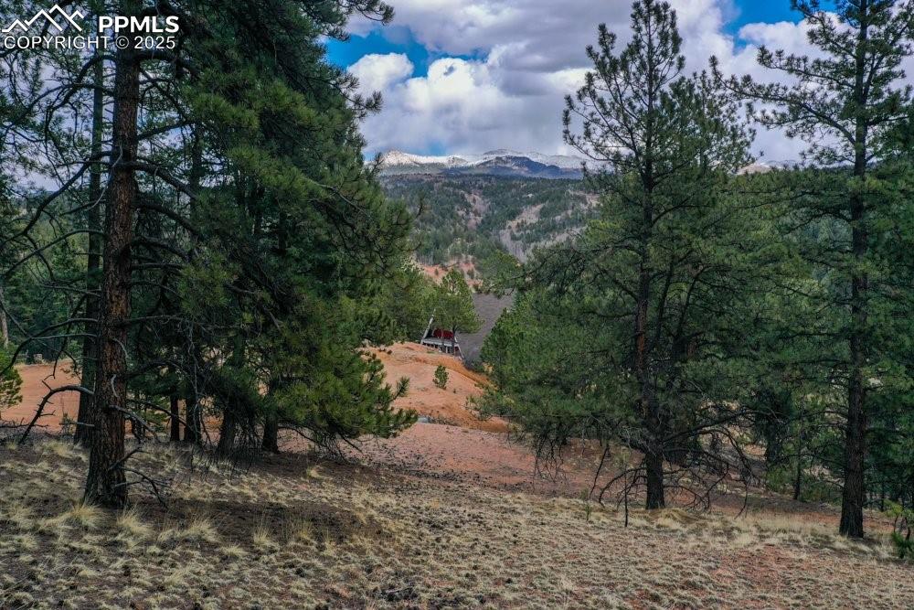 102 Blue Bell Circle Cripple Creek CO 80813