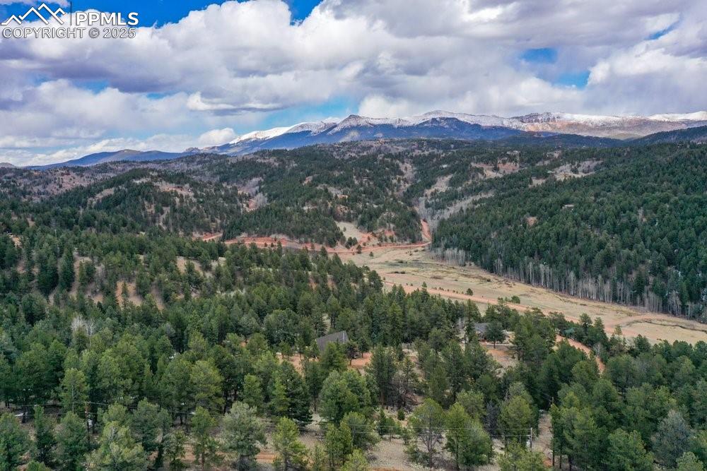 102 Blue Bell Circle Cripple Creek CO 80813
