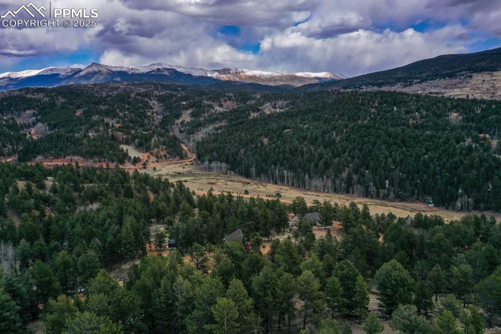 102 Blue Bell Circle Cripple Creek CO 80813