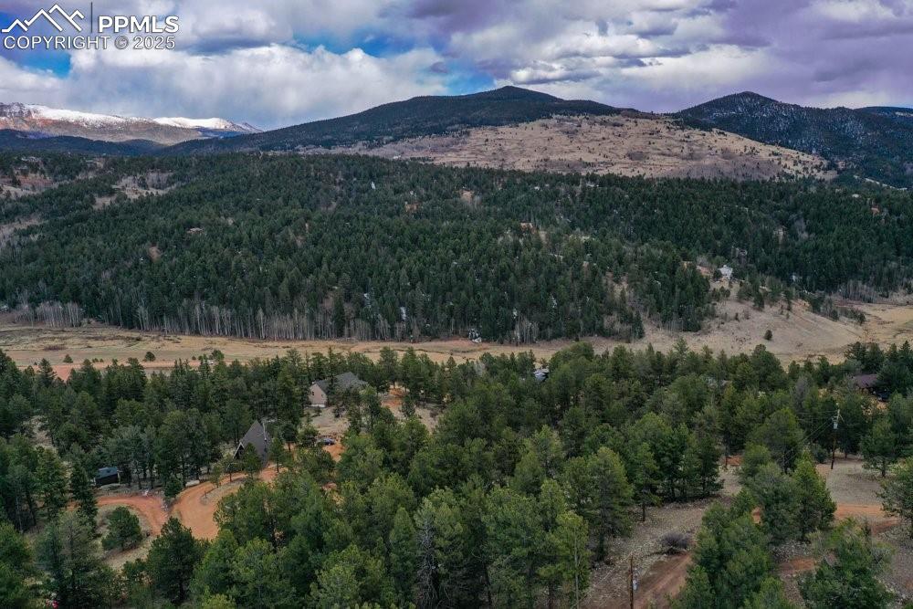 102 Blue Bell Circle Cripple Creek CO 80813
