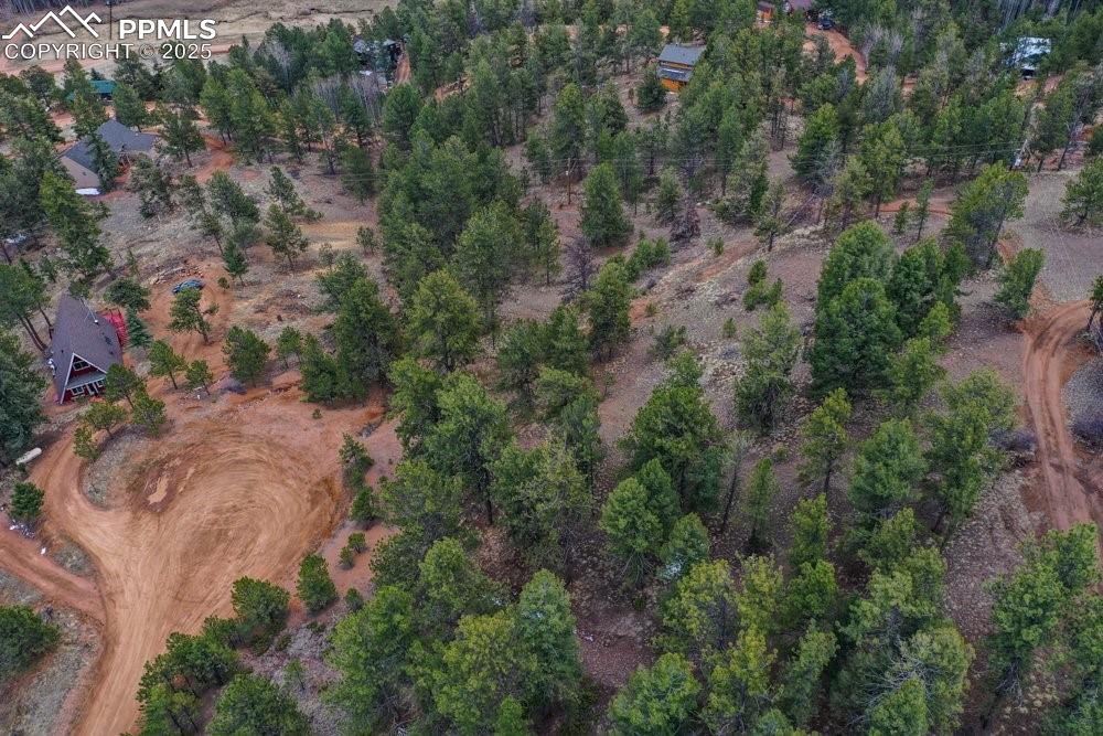 102 Blue Bell Circle Cripple Creek CO 80813