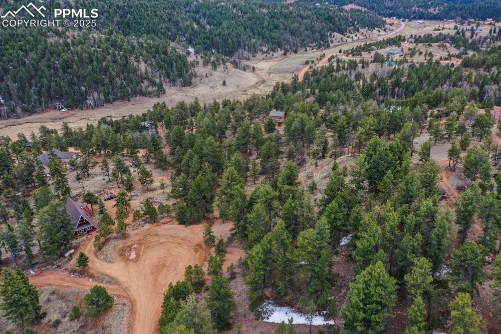 102 Blue Bell Circle Cripple Creek CO 80813