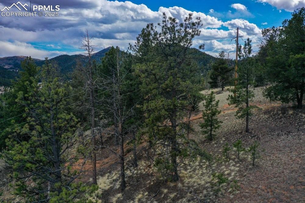102 Blue Bell Circle Cripple Creek CO 80813