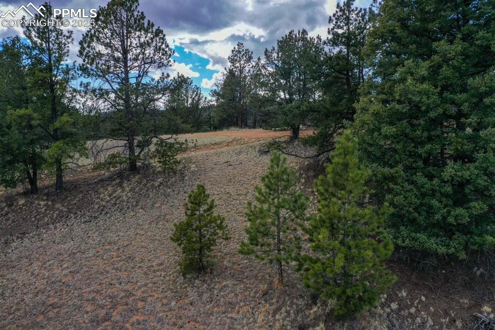102 Blue Bell Circle Cripple Creek CO 80813