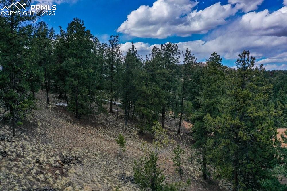 102 Blue Bell Circle Cripple Creek CO 80813