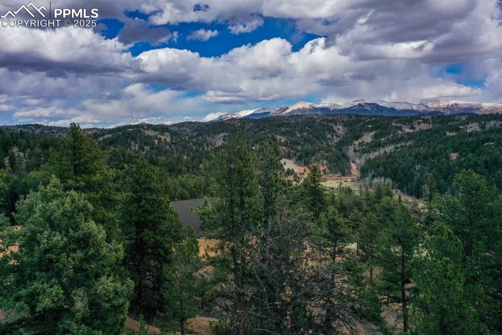 102 Blue Bell Circle Cripple Creek CO 80813
