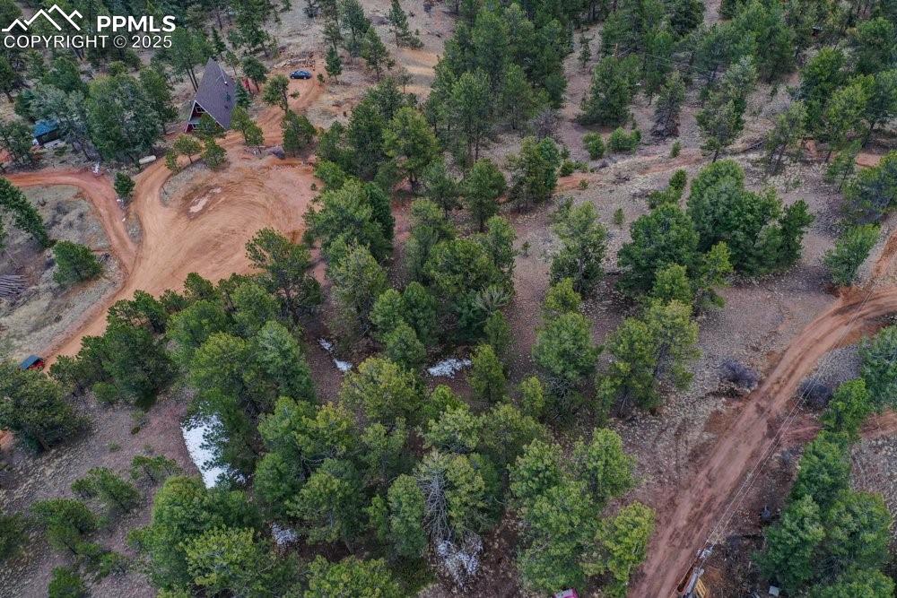 102 Blue Bell Circle Cripple Creek CO 80813