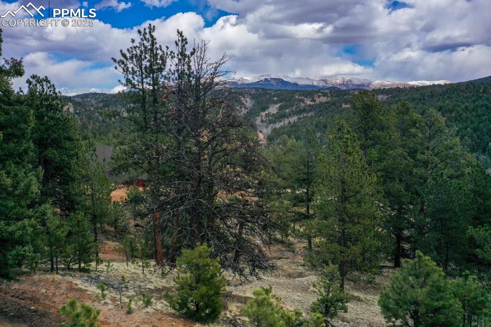 102 Blue Bell Circle Cripple Creek CO 80813
