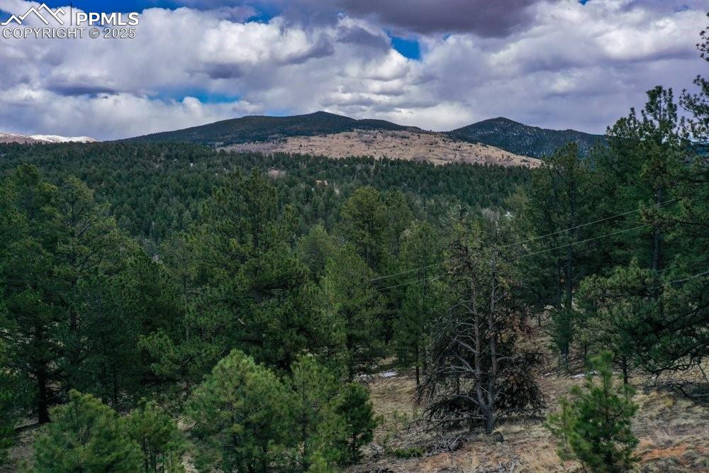 102 Blue Bell Circle Cripple Creek CO 80813
