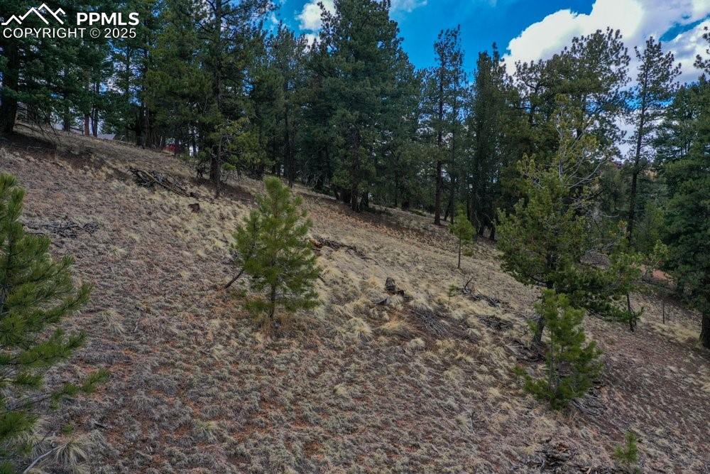 102 Blue Bell Circle Cripple Creek CO 80813