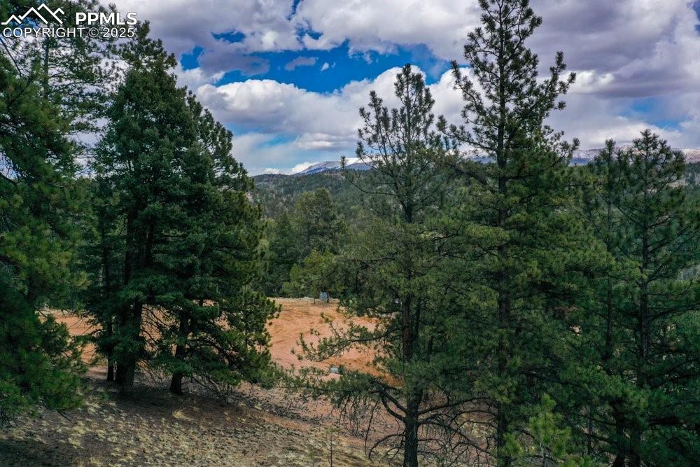 102 Blue Bell Circle Cripple Creek CO 80813