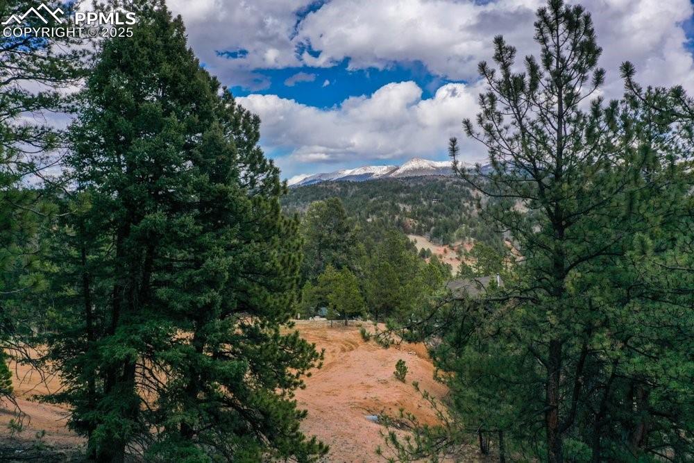 102 Blue Bell Circle Cripple Creek CO 80813