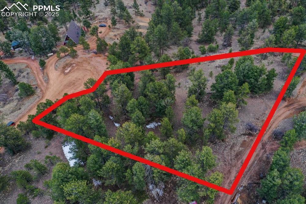 102 Blue Bell Circle Cripple Creek CO 80813