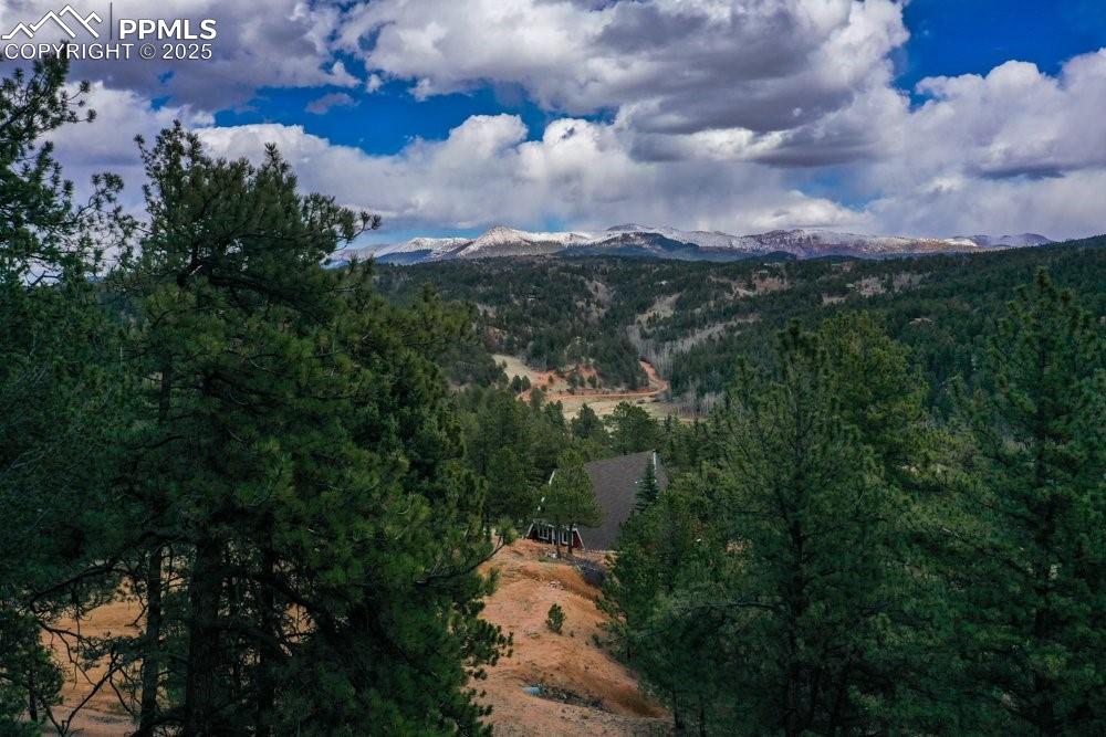 102 Blue Bell Circle Cripple Creek CO 80813