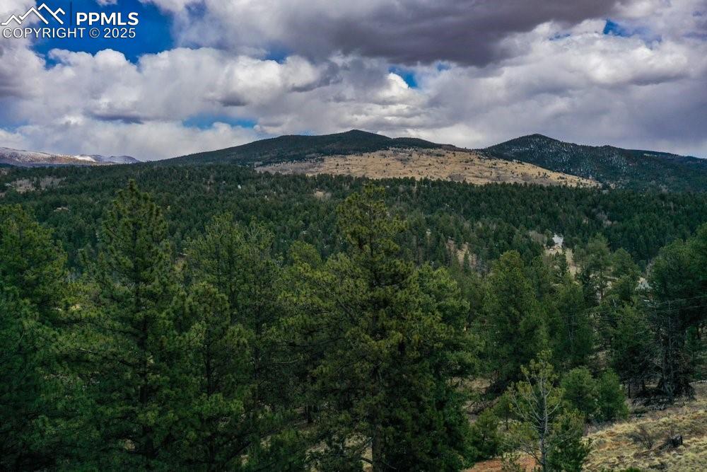 102 Blue Bell Circle Cripple Creek CO 80813