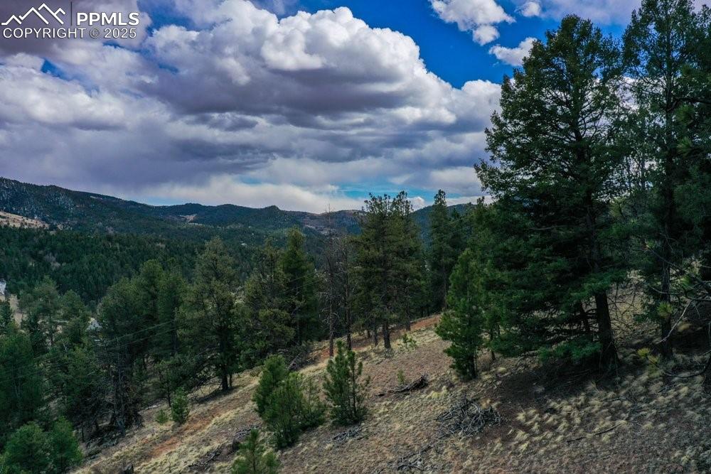 102 Blue Bell Circle Cripple Creek CO 80813