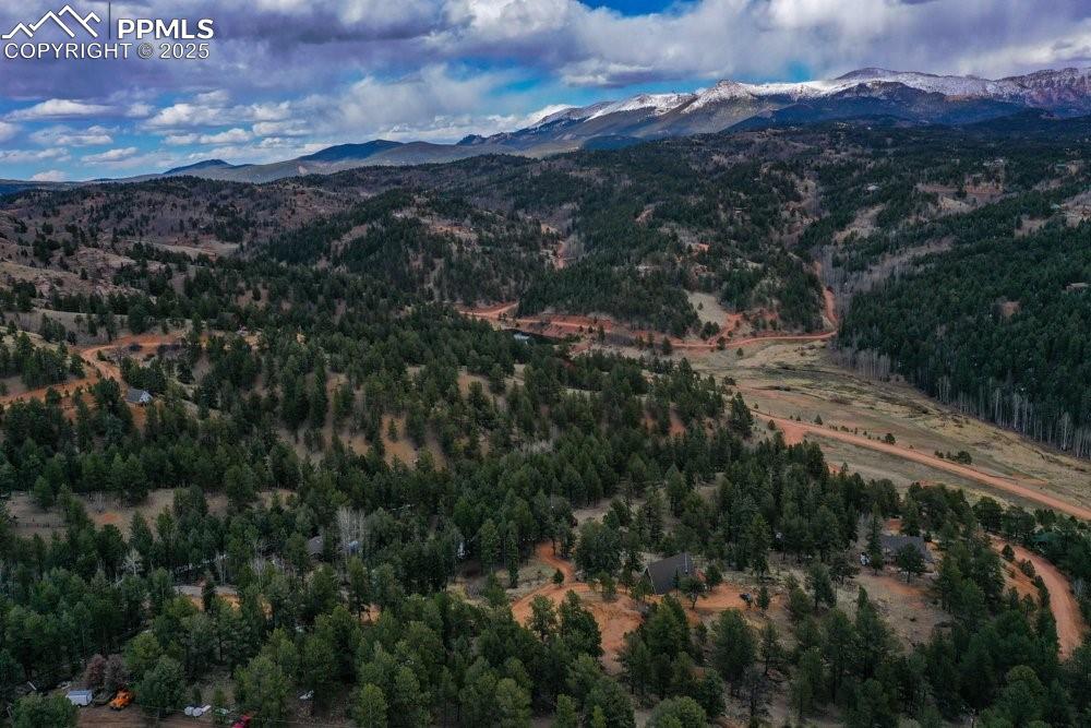 102 Blue Bell Circle Cripple Creek CO 80813