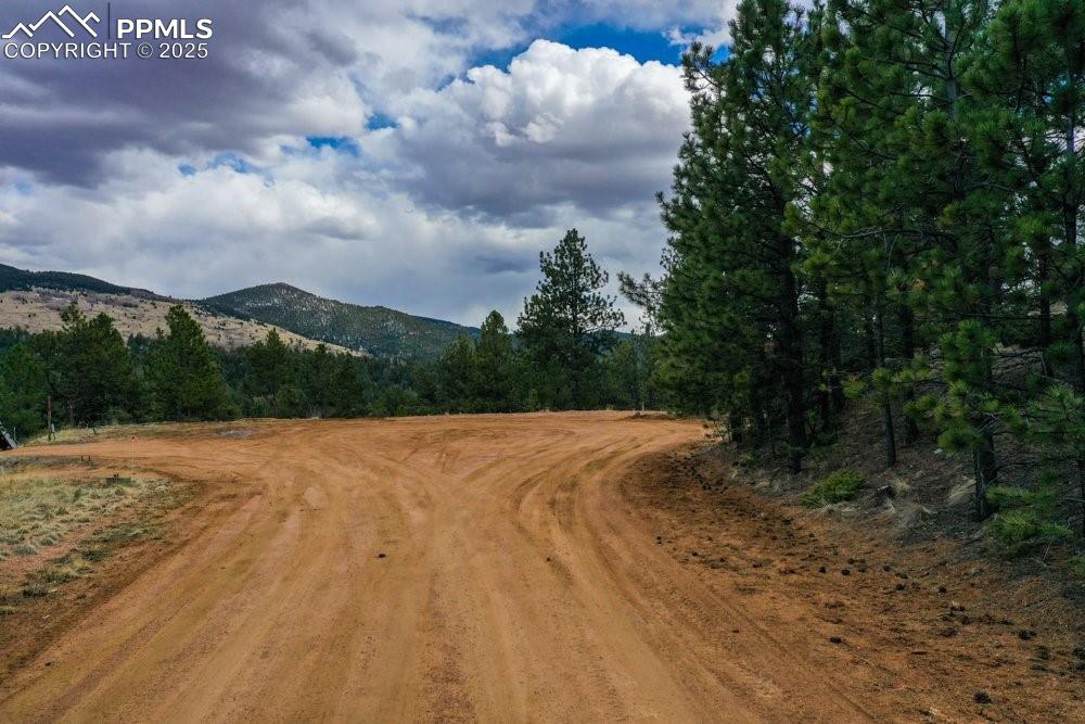 102 Blue Bell Circle Cripple Creek CO 80813
