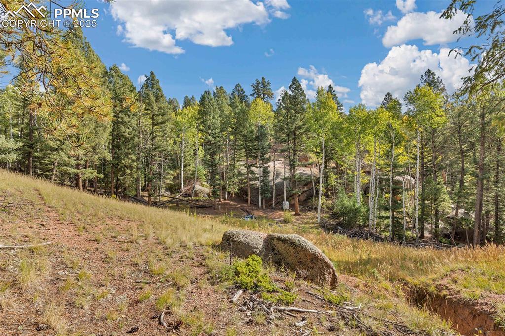 926 Pinon Lane Florissant CO 80816
