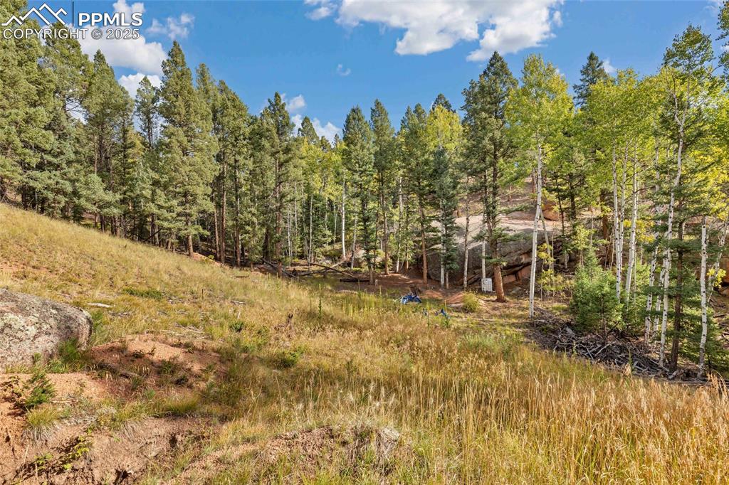 926 Pinon Lane Florissant CO 80816