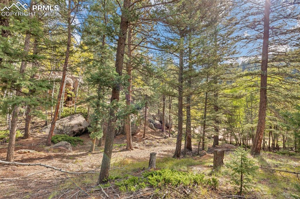 926 Pinon Lane Florissant CO 80816