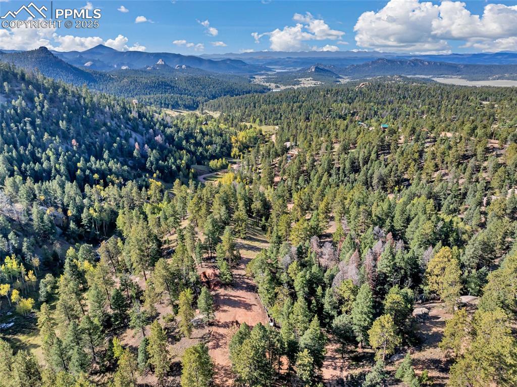 926 Pinon Lane Florissant CO 80816