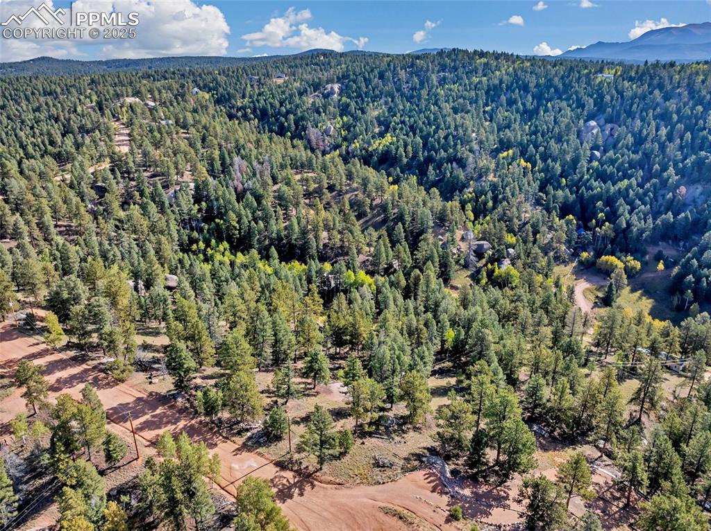926 Pinon Lane Florissant CO 80816
