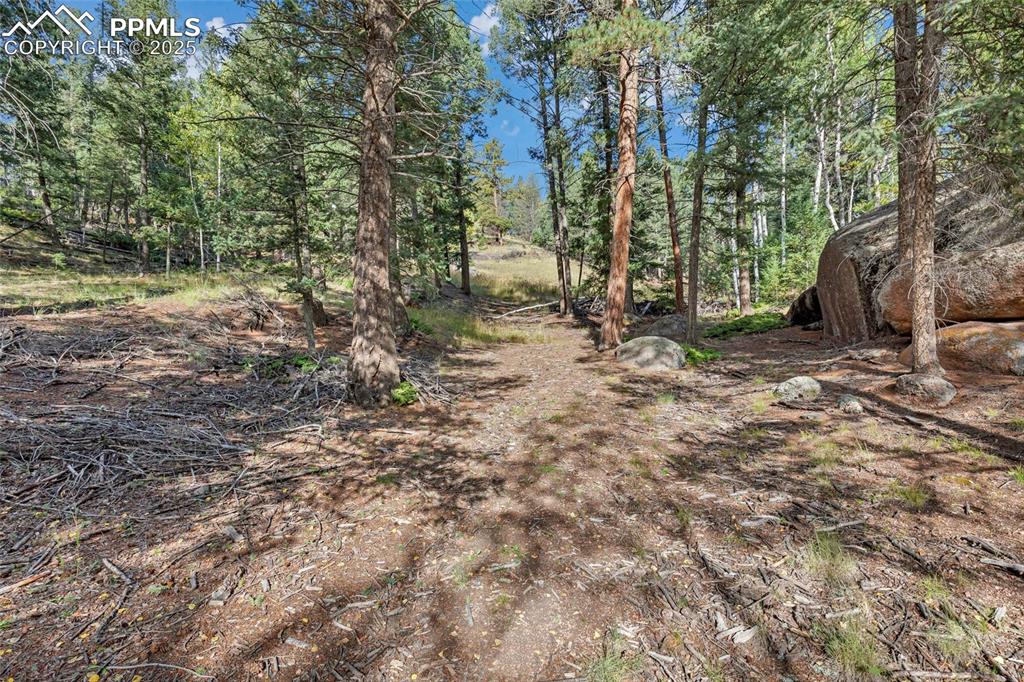926 Pinon Lane Florissant CO 80816