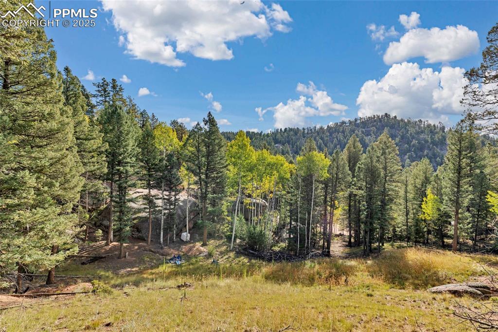 926 Pinon Lane Florissant CO 80816