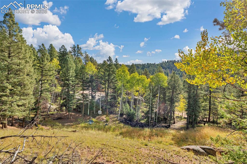 926 Pinon Lane Florissant CO 80816