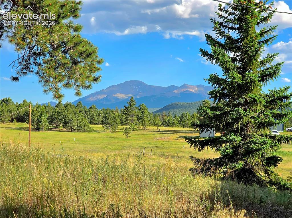 584 Sourdough Road Woodland Park CO 80863