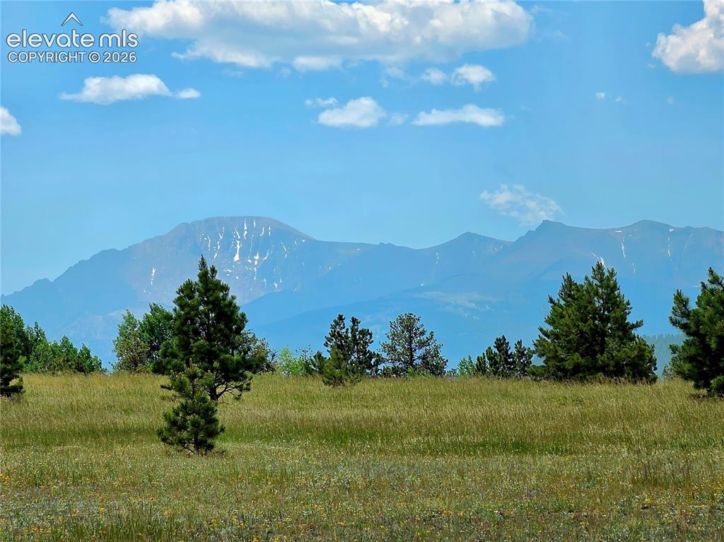 584 Sourdough Road Woodland Park CO 80863