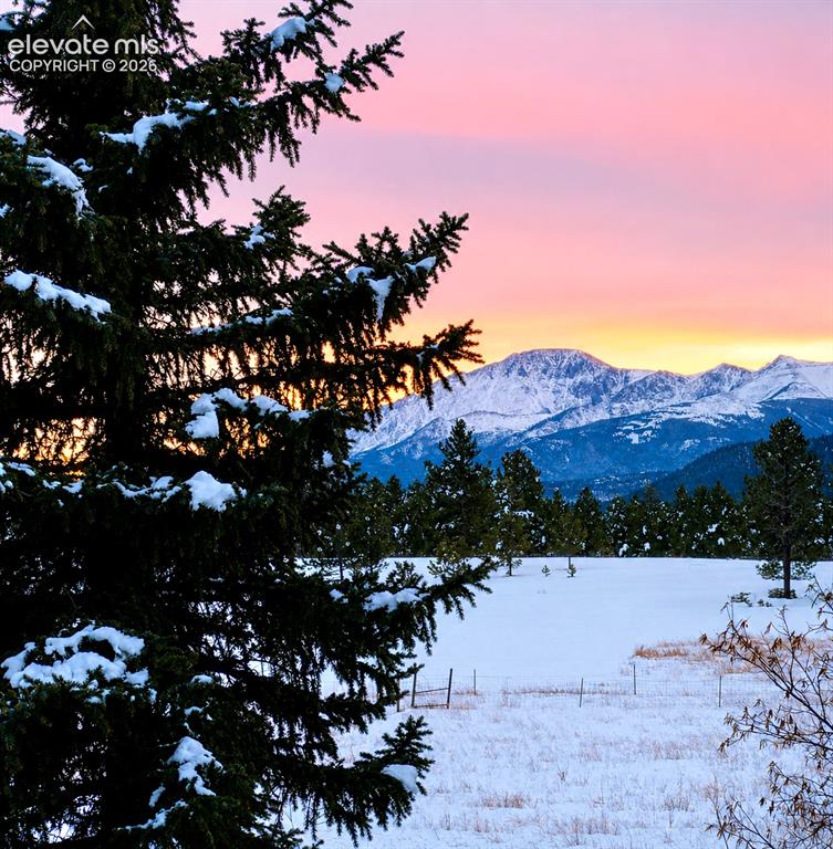 584 Sourdough Road Woodland Park CO 80863