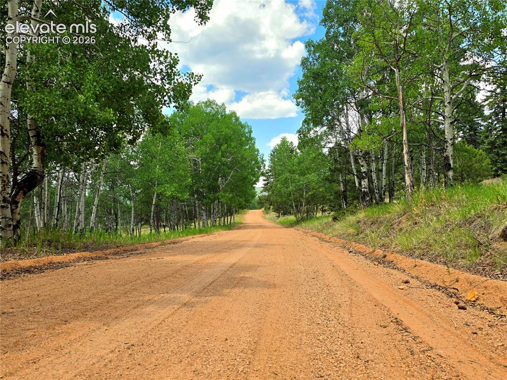 584 Sourdough Road Woodland Park CO 80863