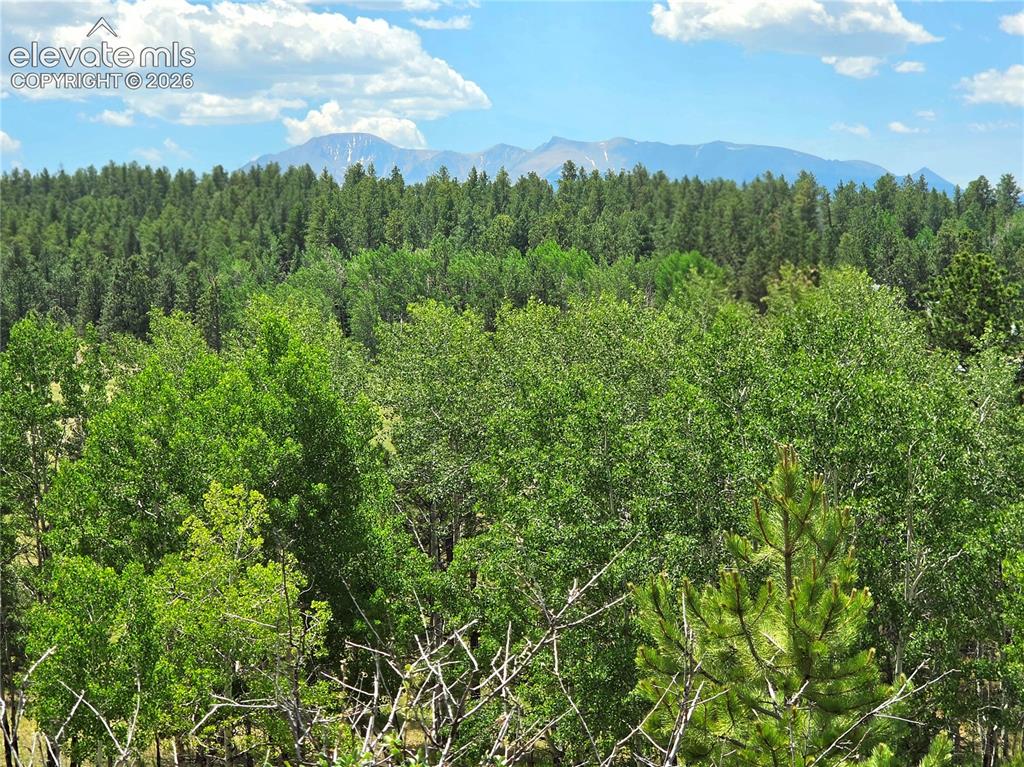 584 Sourdough Road Woodland Park CO 80863