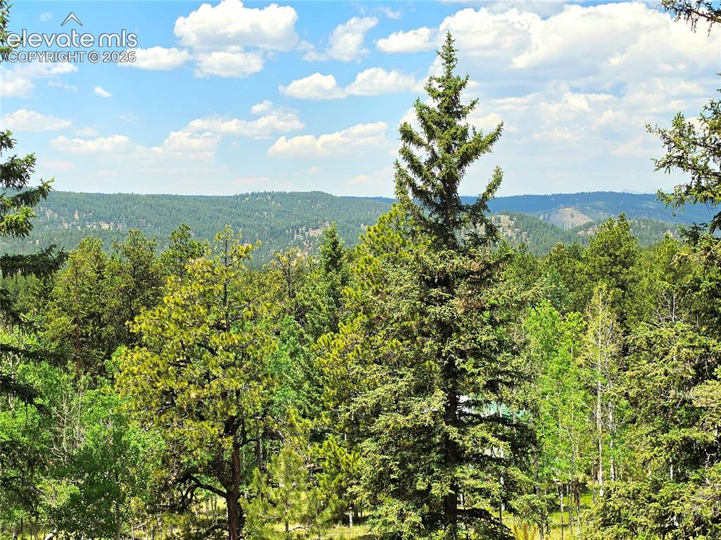 584 Sourdough Road Woodland Park CO 80863