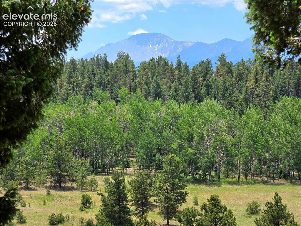 584 Sourdough Road Woodland Park CO 80863