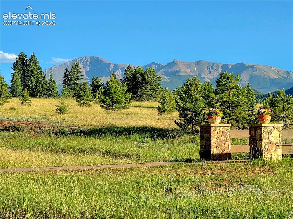 584 Sourdough Road Woodland Park CO 80863