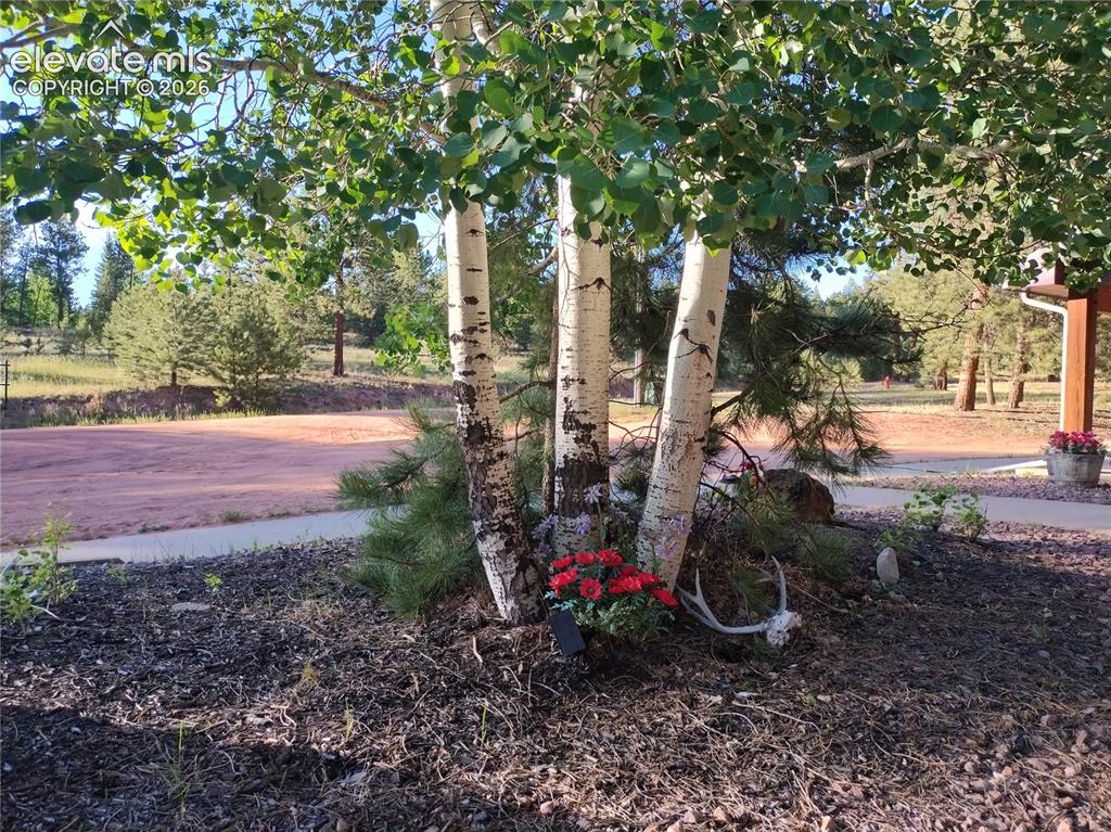 584 Sourdough Road Woodland Park CO 80863