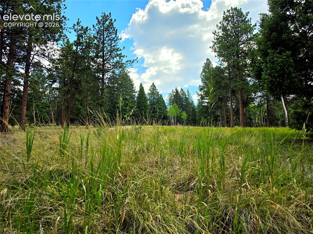 584 Sourdough Road Woodland Park CO 80863