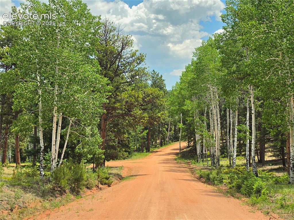 584 Sourdough Road Woodland Park CO 80863