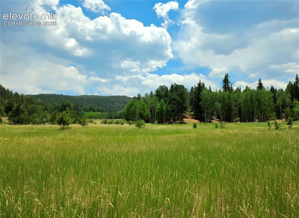 584 Sourdough Road Woodland Park CO 80863