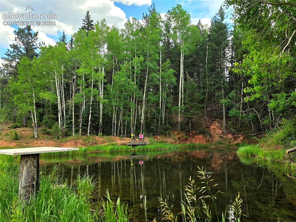 584 Sourdough Road Woodland Park CO 80863