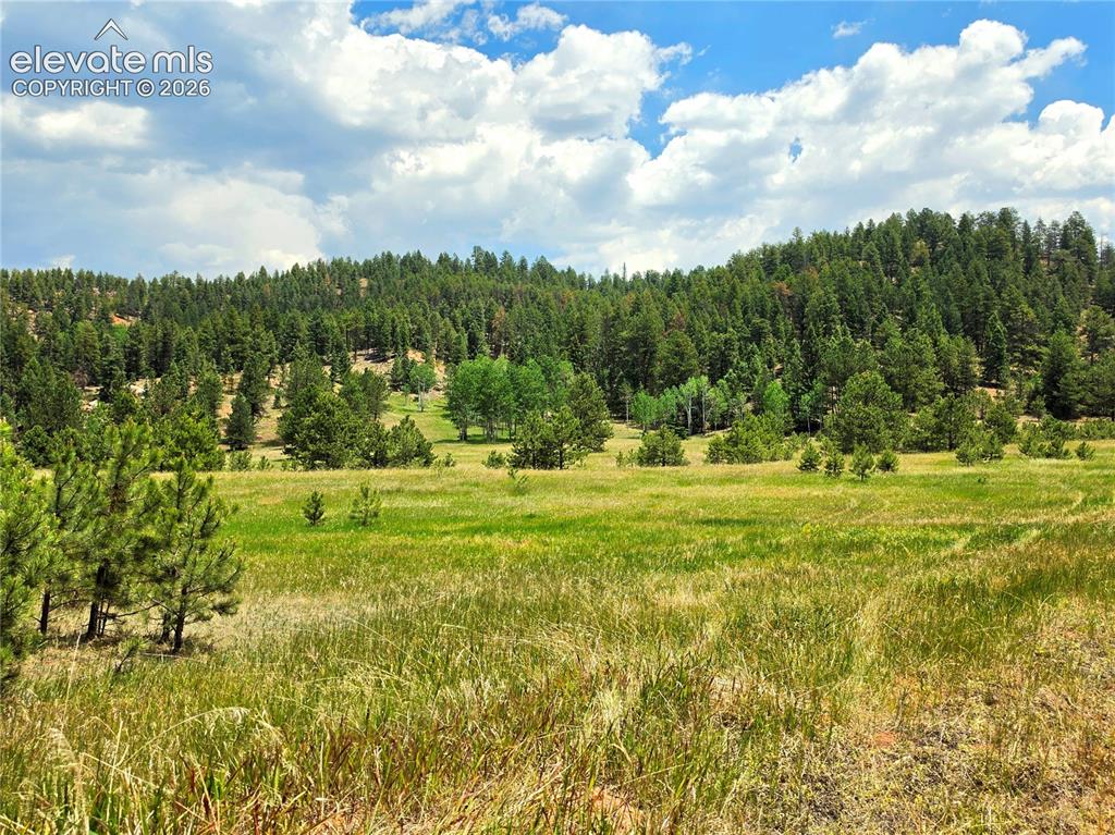 584 Sourdough Road Woodland Park CO 80863