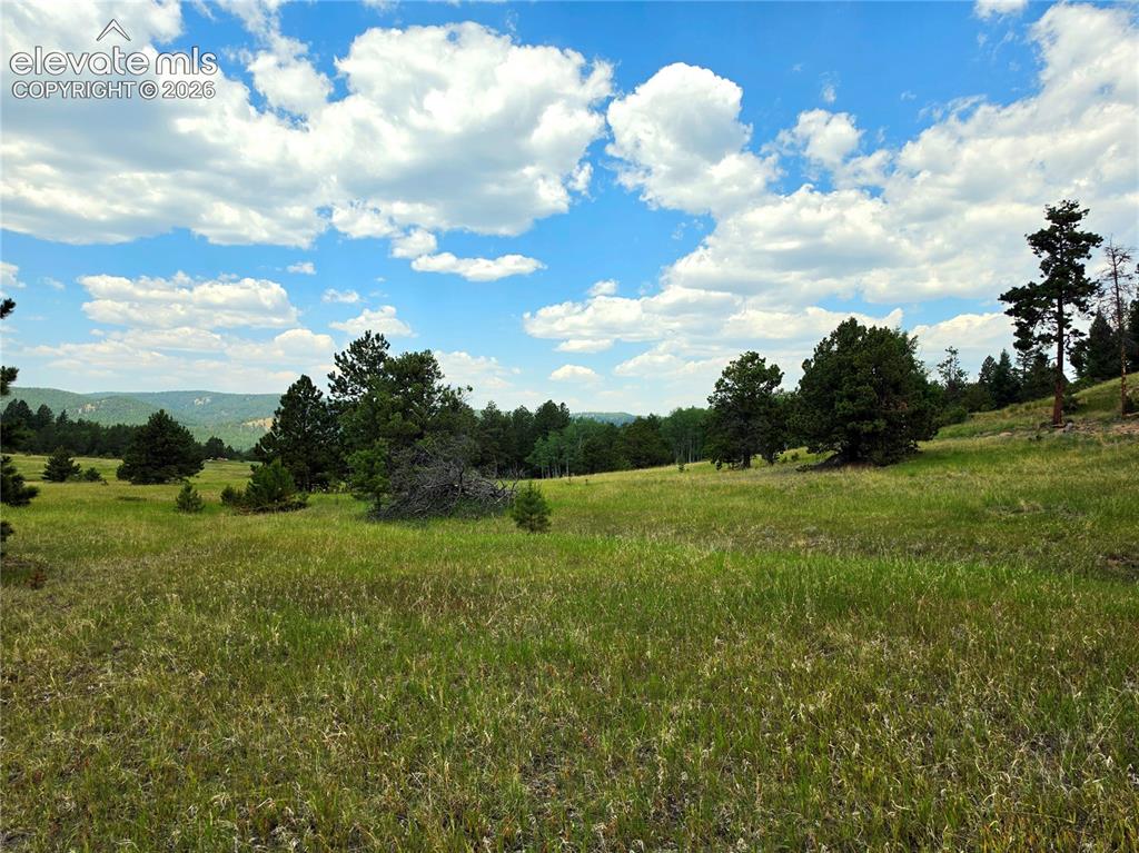 584 Sourdough Road Woodland Park CO 80863