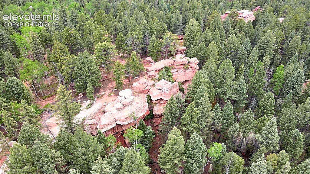 584 Sourdough Road Woodland Park CO 80863